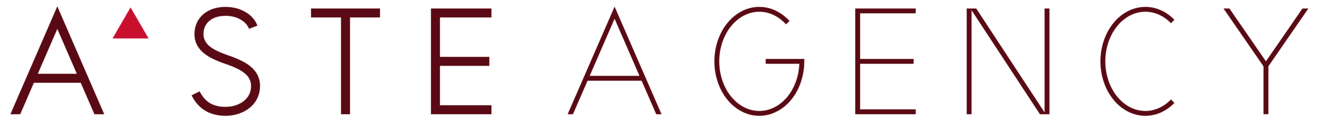 Aste Agency